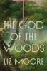 Book cover for "The god of the woods"